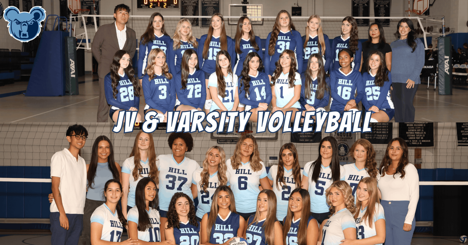 volleyball