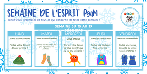 French- Blue snowflake theme with 5 boxes with icons in them