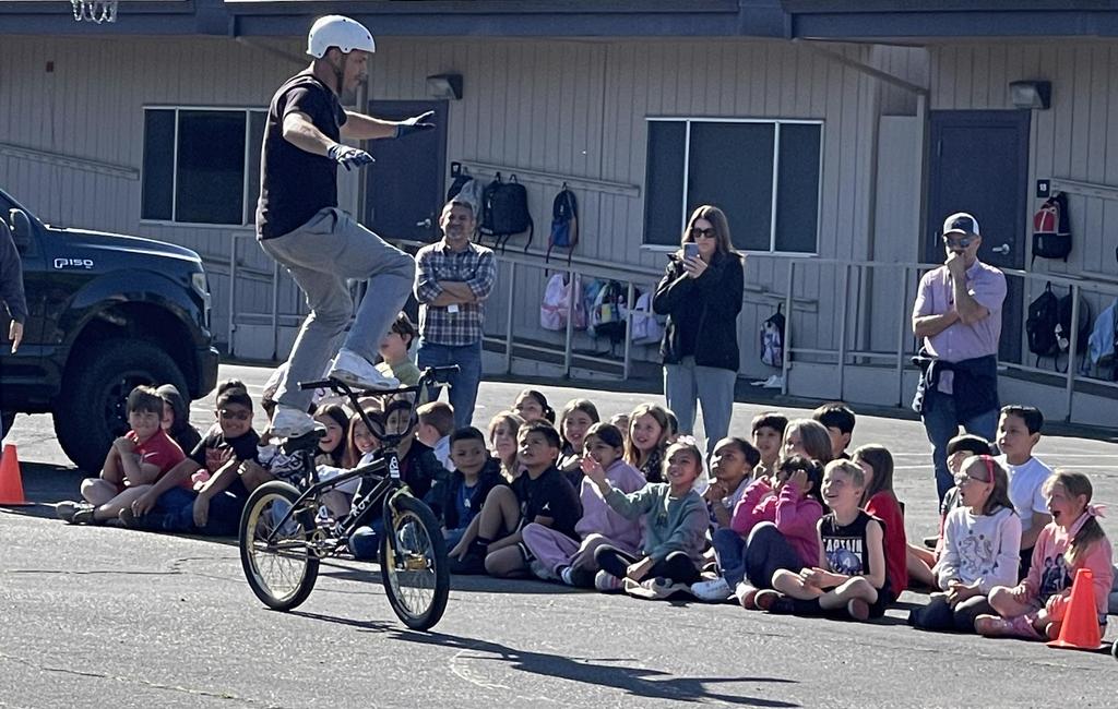 bmx3