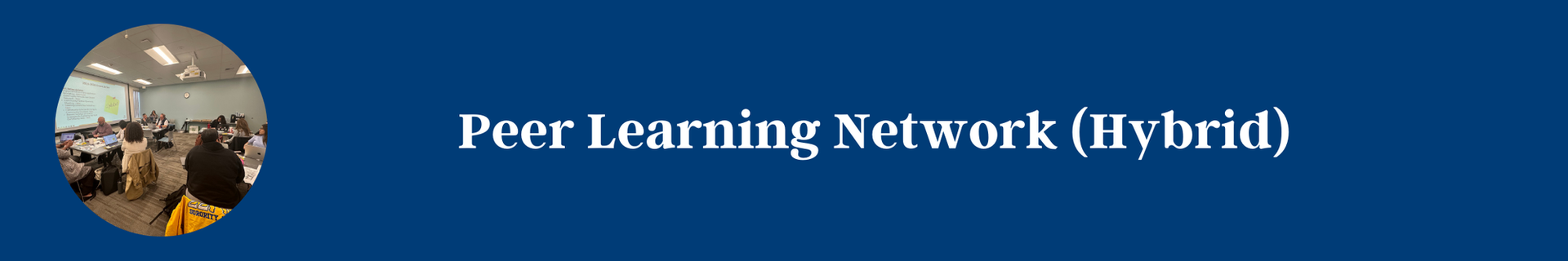 Peer Learning Network (Hybrid)