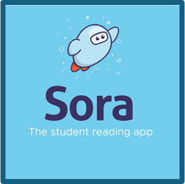 sora picture app with border