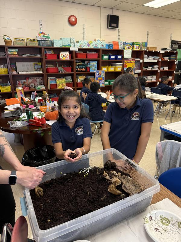 Learning About The Environment at the Washington School