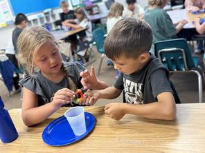 Worm experiment