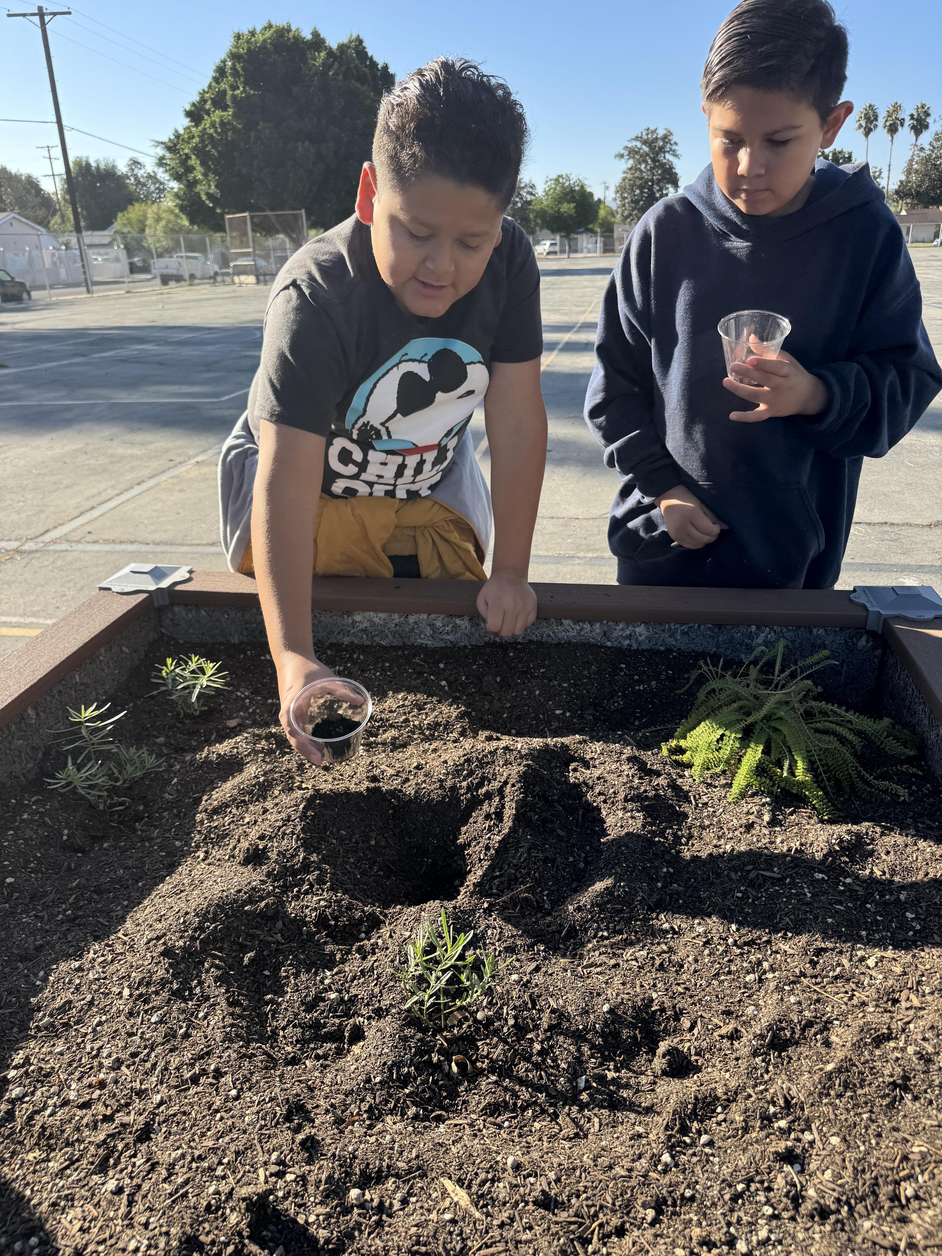 Students working on stewardship project