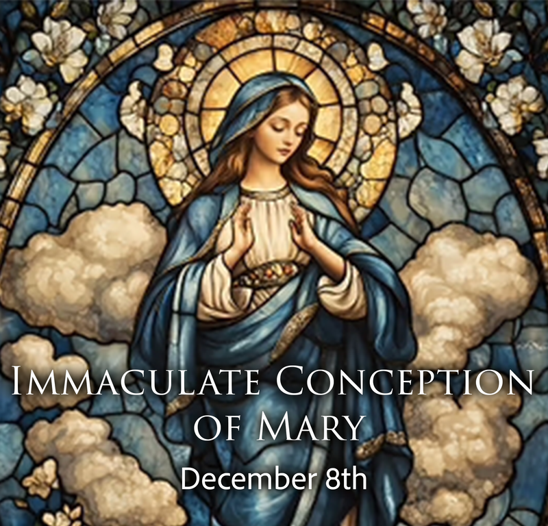 Monday December 8th, Masses at 8am and 6pm Featured Photo
