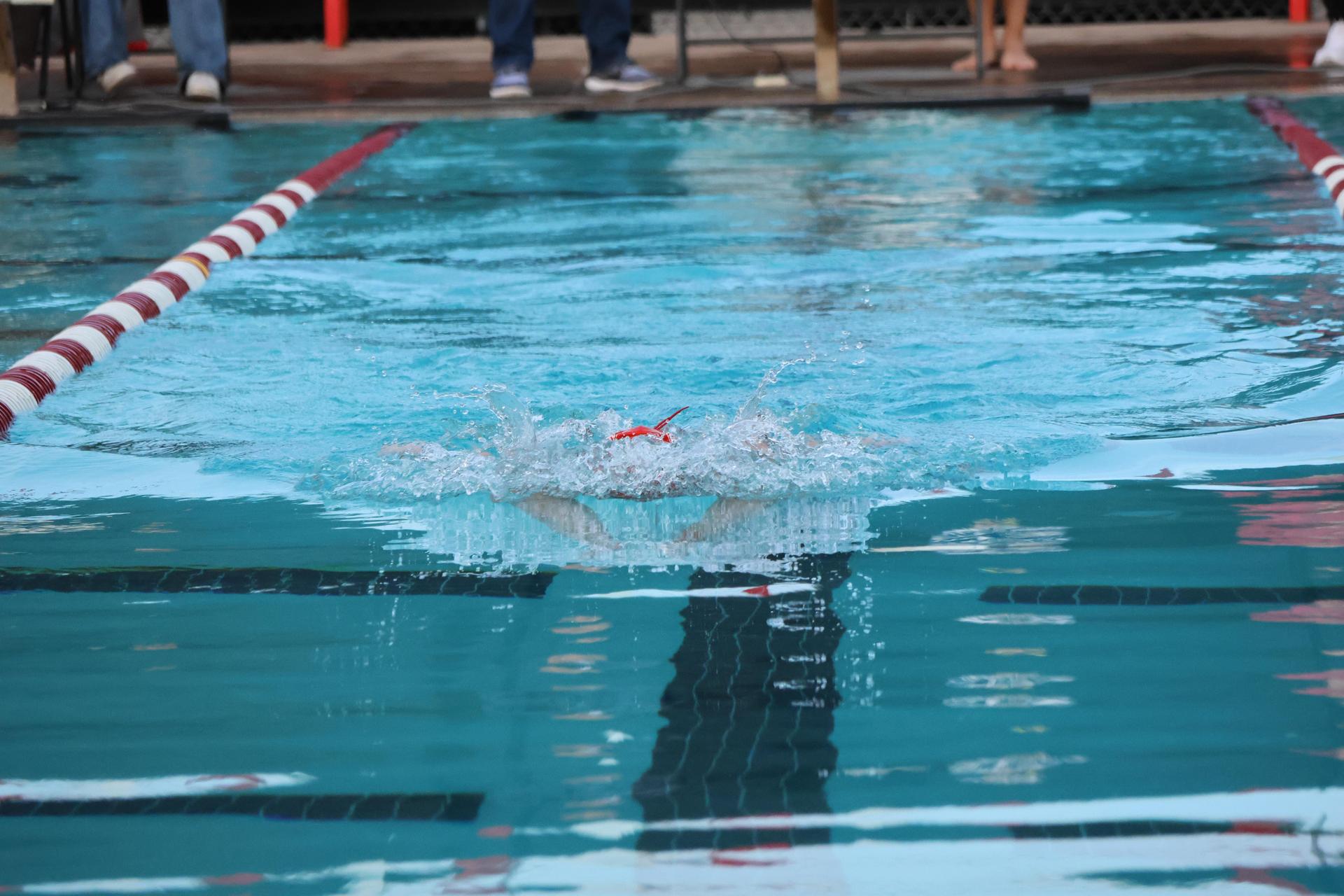 Katie Rodriguez swimming