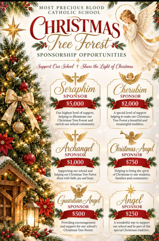 Sponsorship Flyer