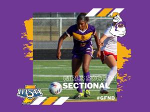 promo graphic - girls soccer sectional 2025