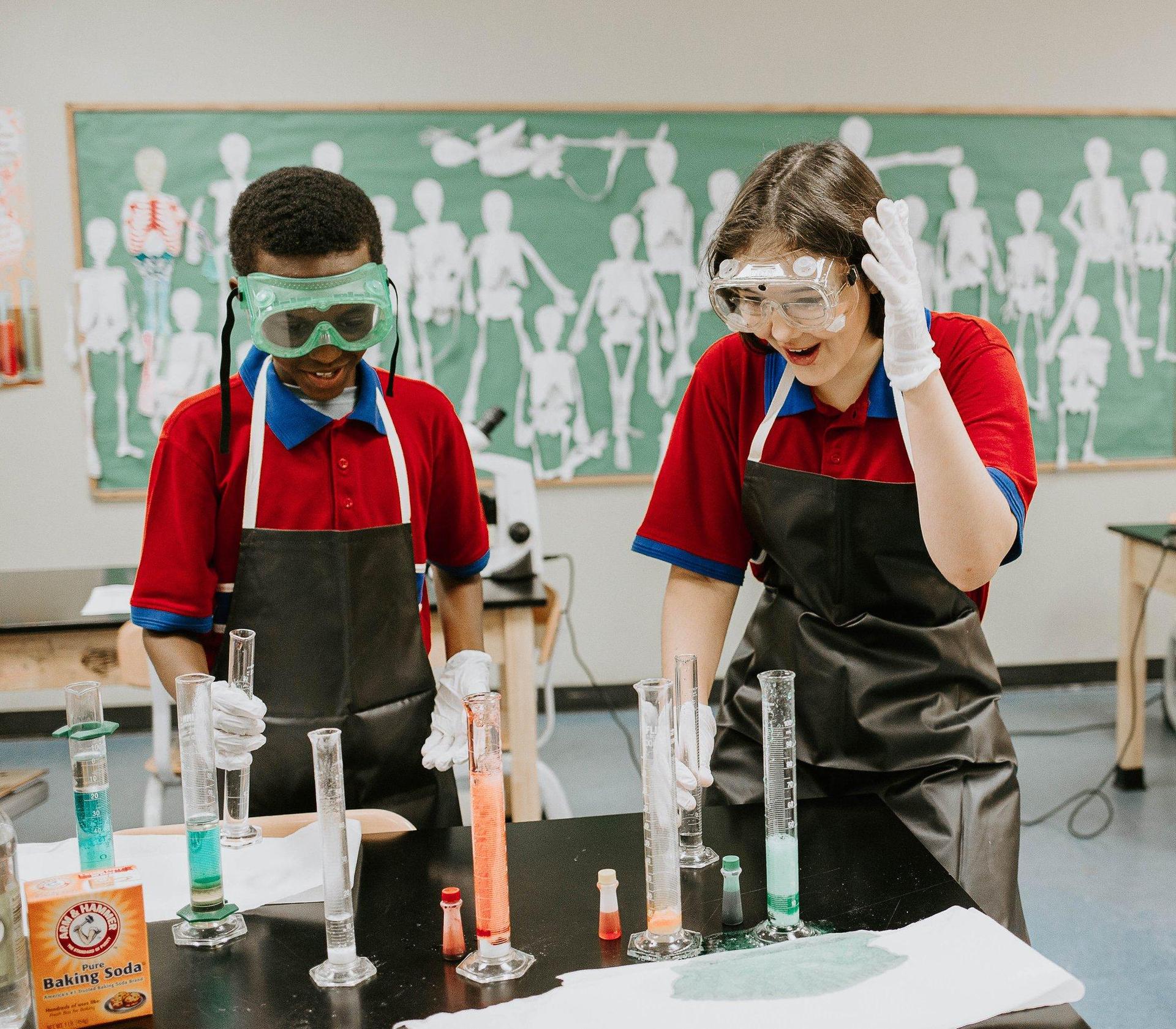 Students working in Science and Technology