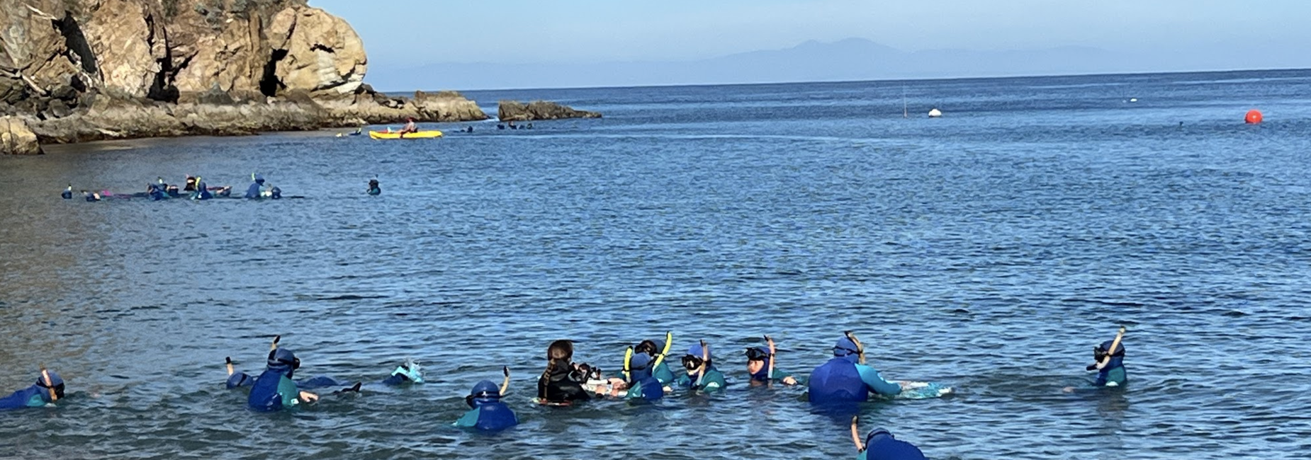 Students snorkeling at Catalina Island