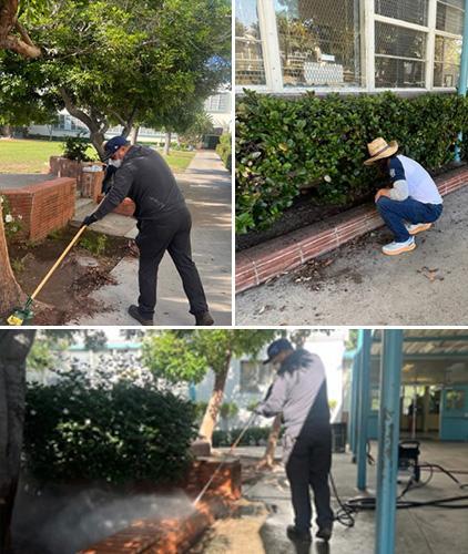 Beautification Day