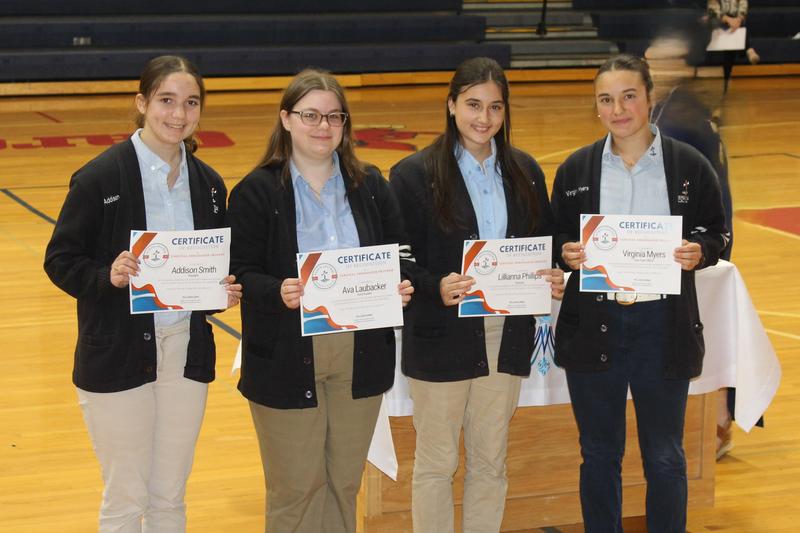 Cardinal Ambassadors