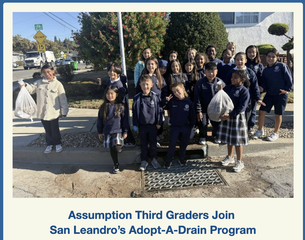 Third Graders in Action