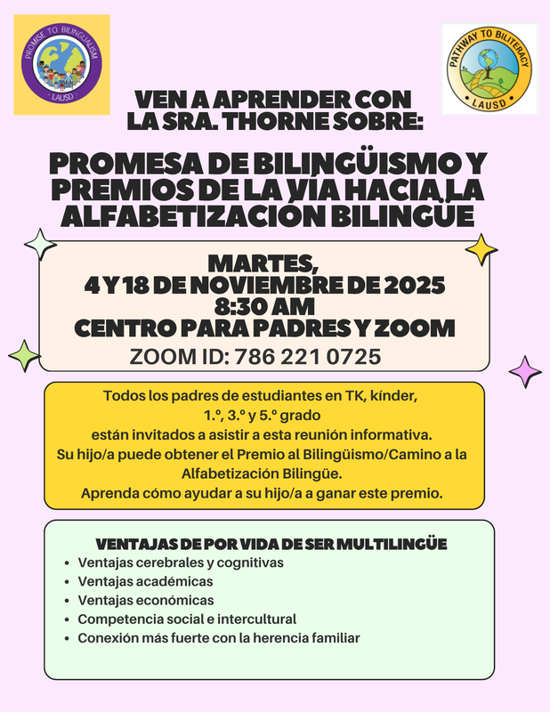 Flyer 2