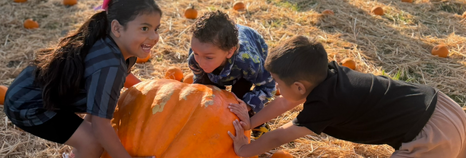 Alcott Pumpkin Patch - photos from the day of