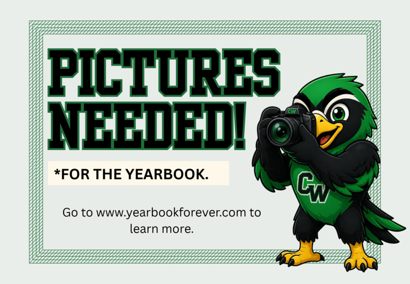 black and green cartoon falcon with a camera and the words 