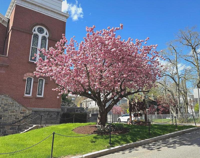 Spring is in the air at Saint Peter School! We're excited for a lot of outdoor recess, and a return to warmer weather!