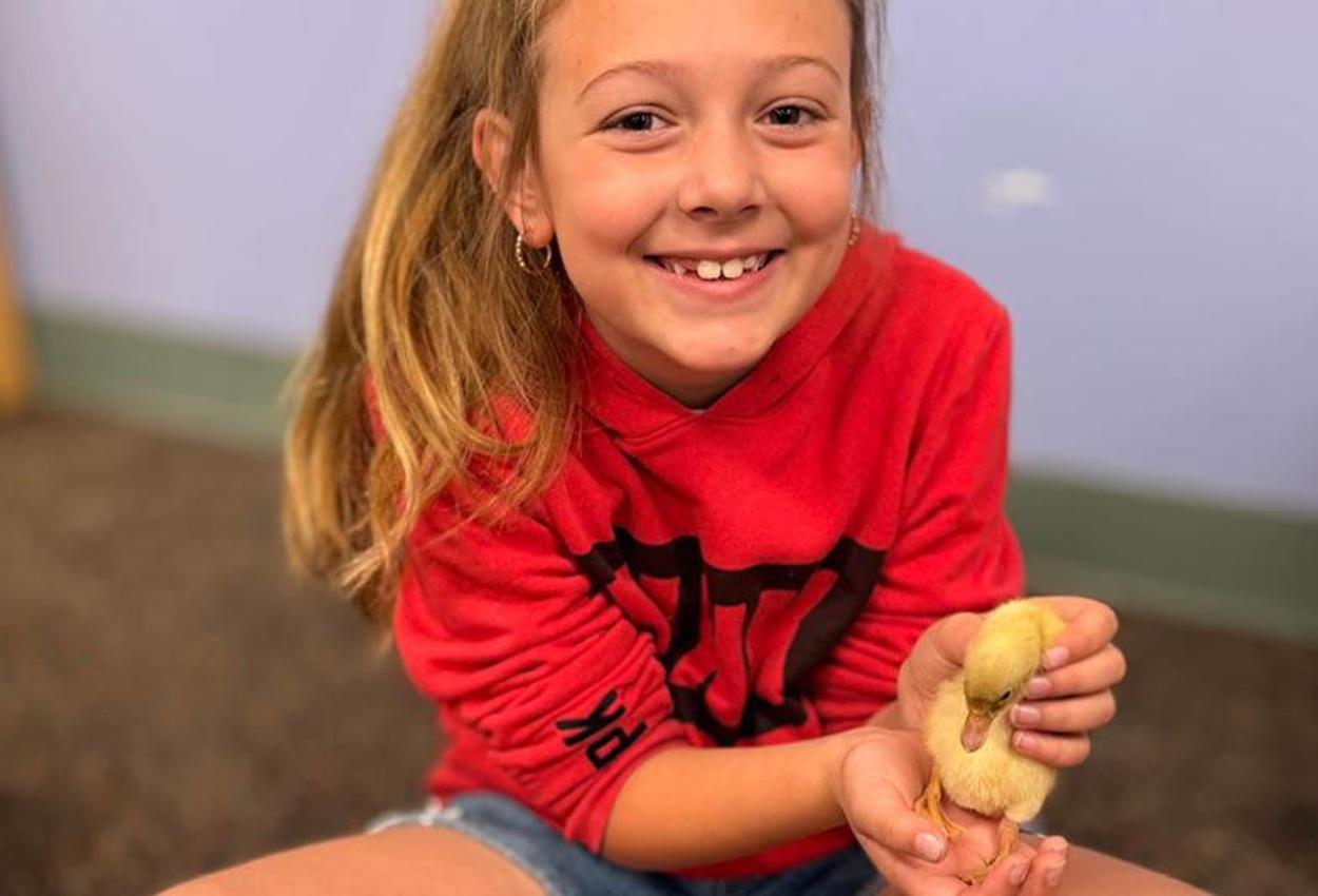 A young girl holds a baby duck in her hands