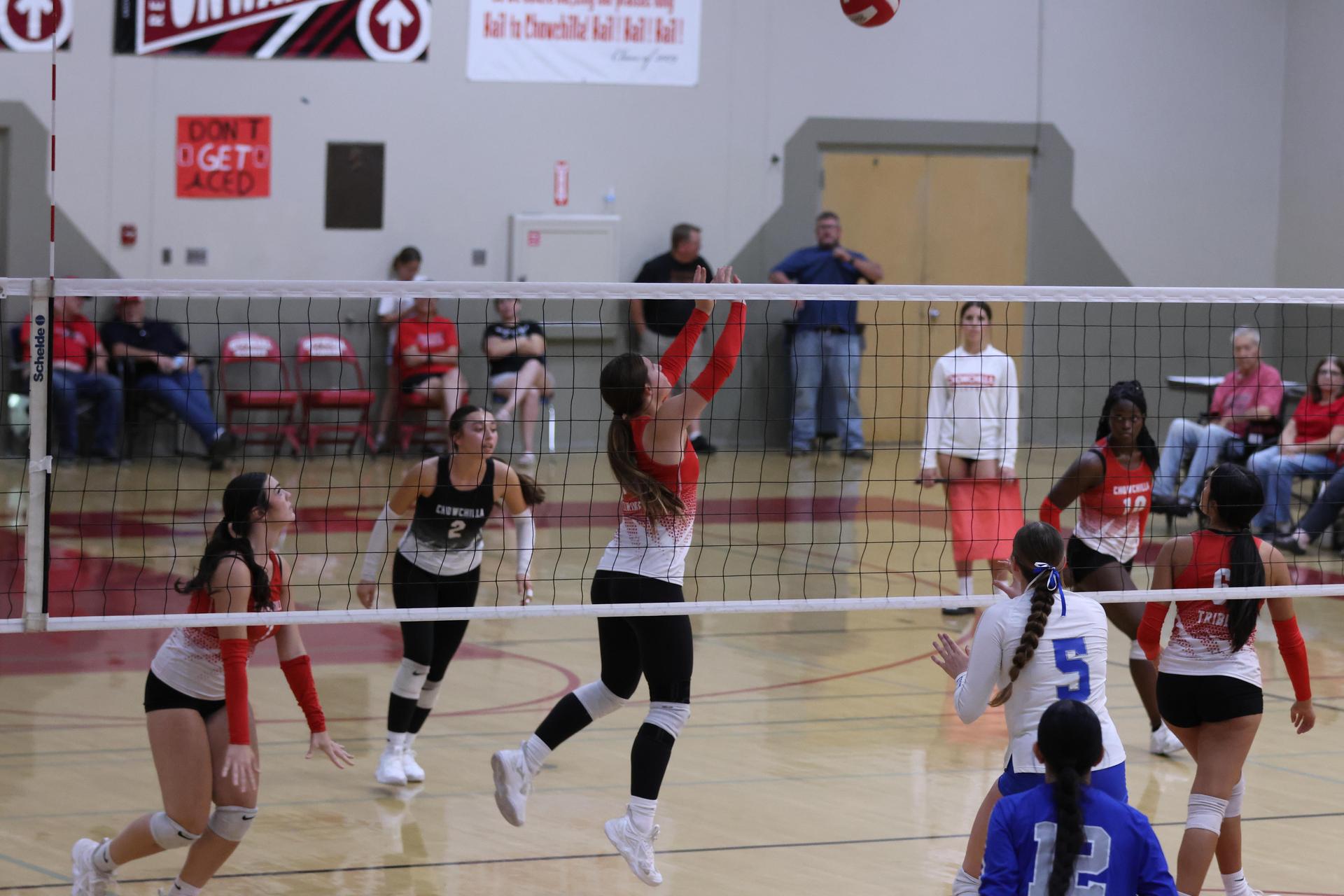 Varsity girls Volleyball playing vs. Madera 60