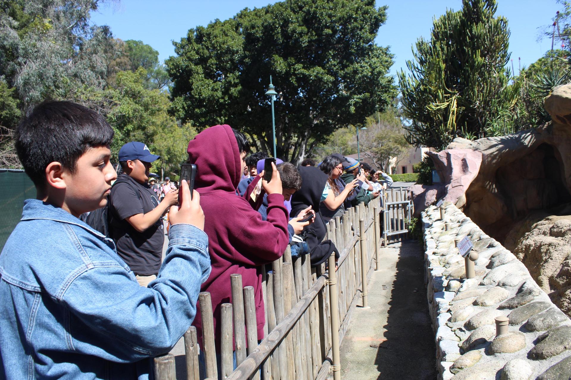 Field trip at the zoo 