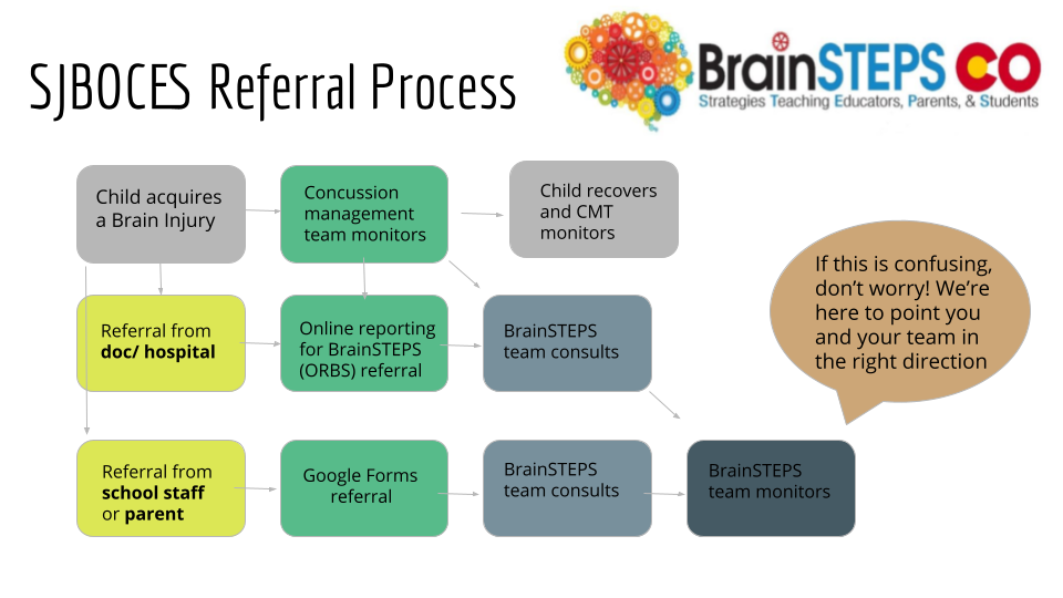 Flow Chart of Referral Process to access Brain Steps Team  