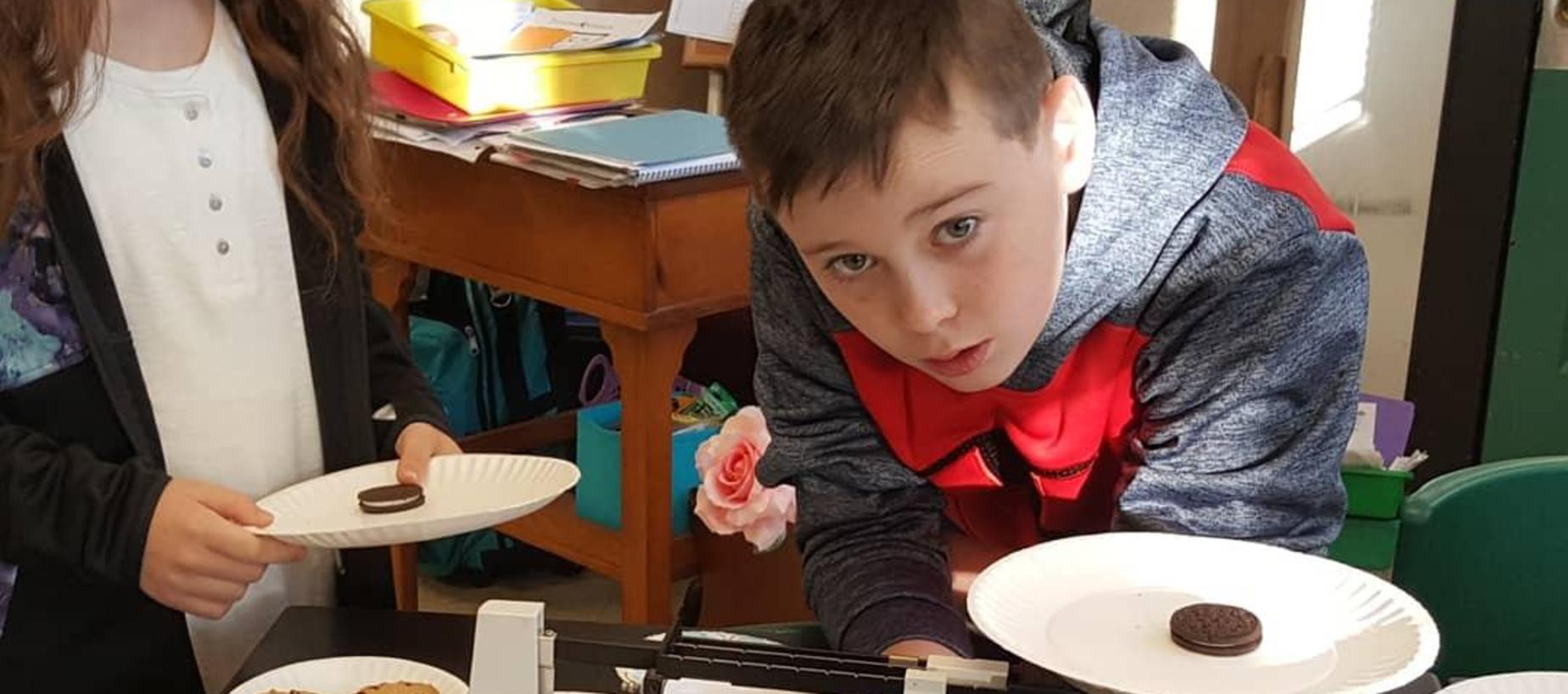 Science Class Mass and Weight