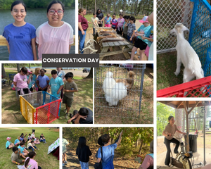 conservation day