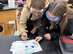 Eighth grade geologists