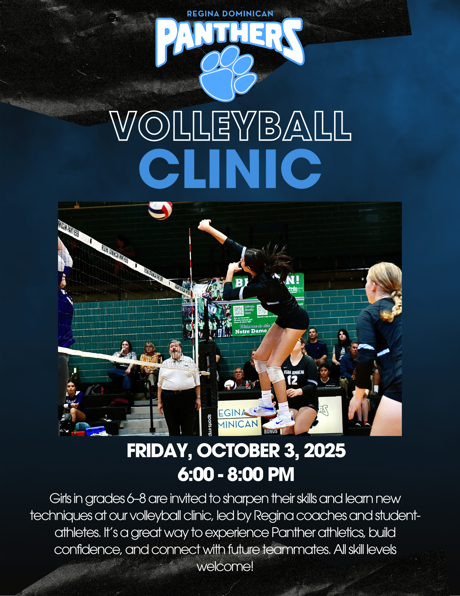Volleyball Clinic