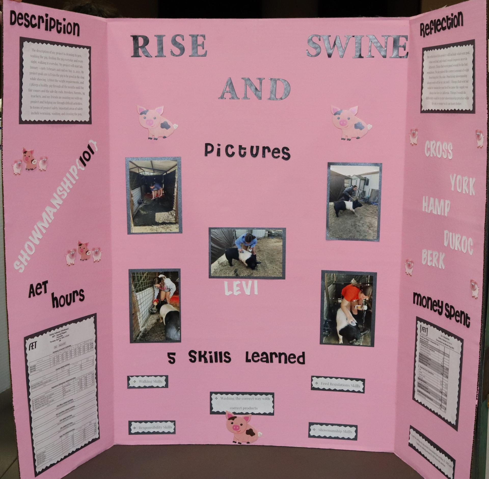 A Supervised Agricultural Experience trifold display