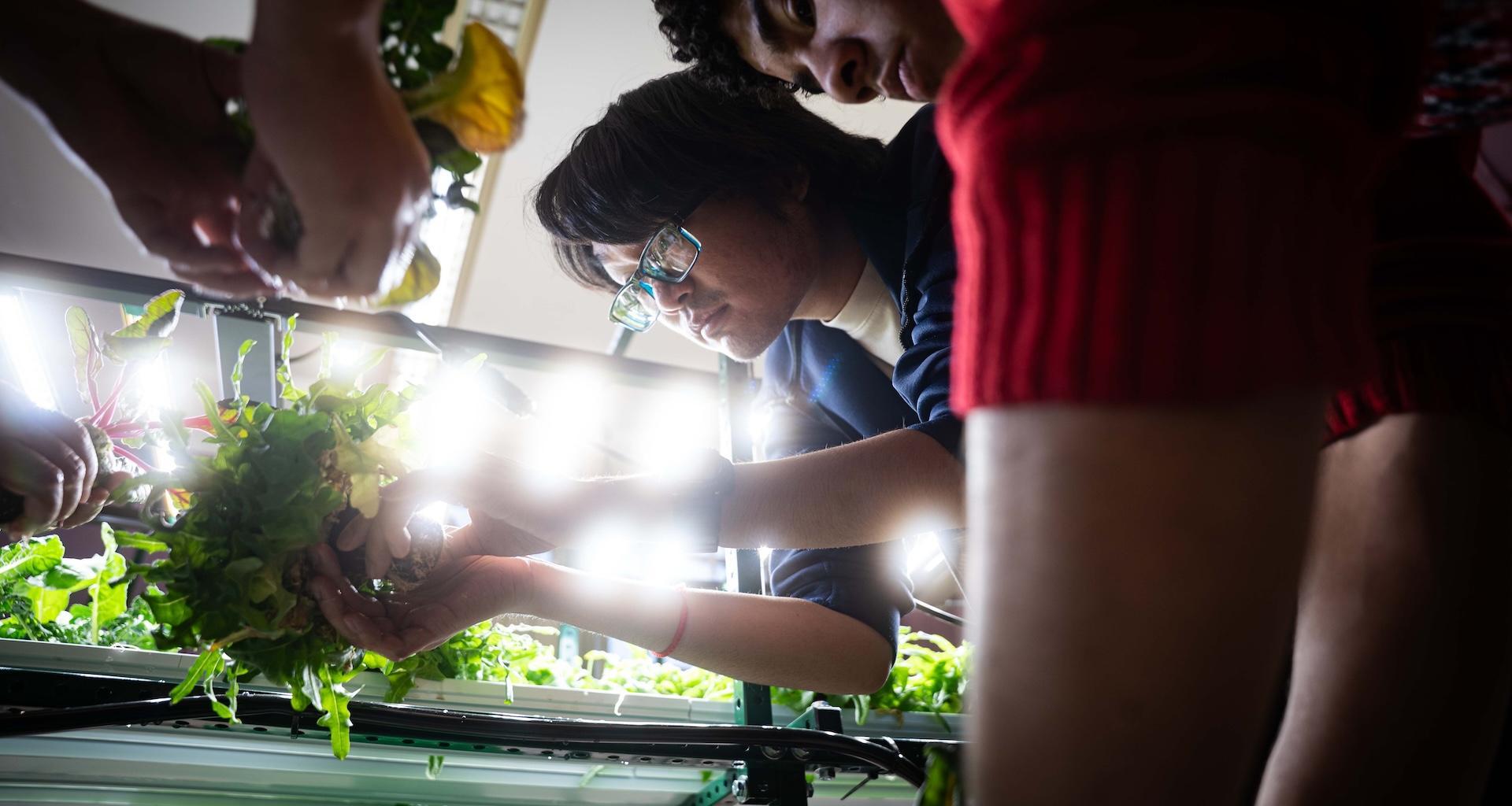 Student working in lab