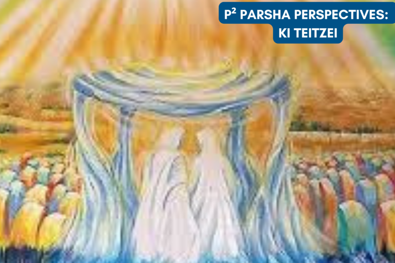 P² Parsha Perspectives: Parshat Ki Teitzei