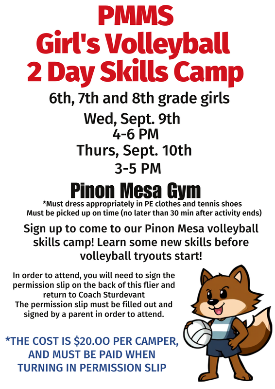 Volleyball Skills Camp Featured Photo