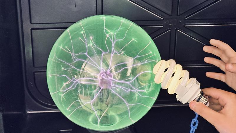 STEAM/100 days of School