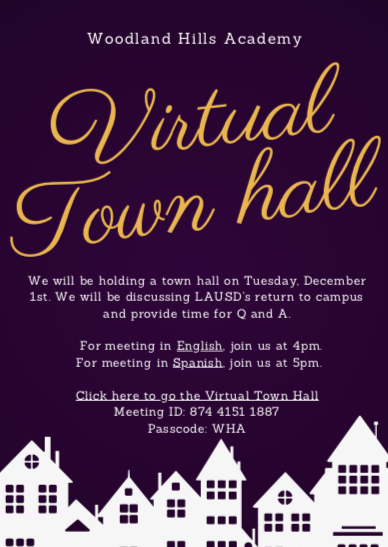 Virtual Town Hall