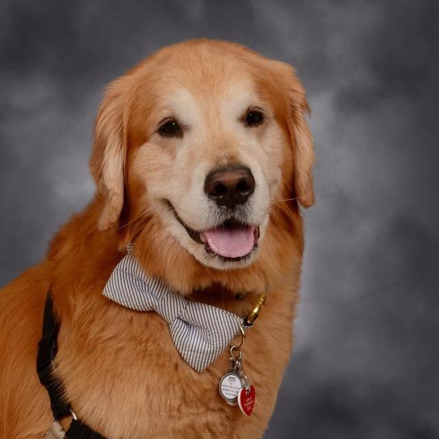 LeoThe Dog's Profile Photo