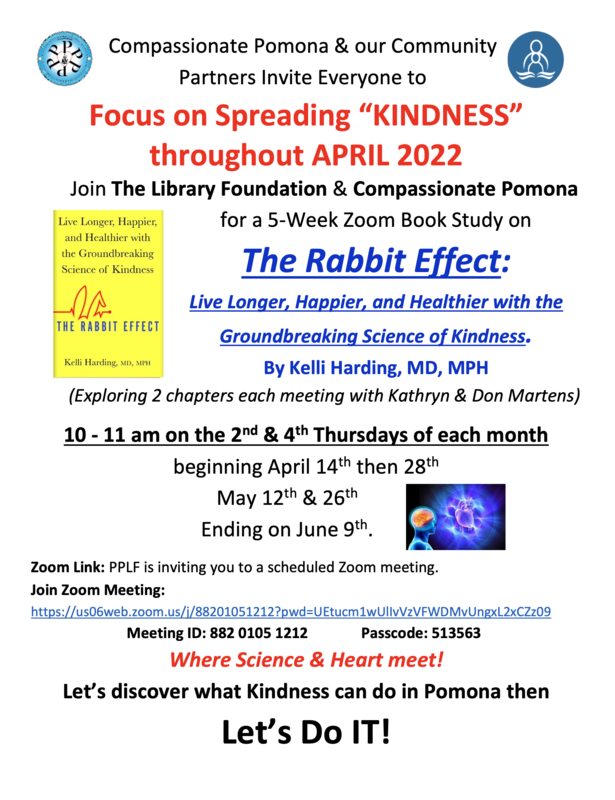 The Rabbit Effect Book Study Flyer