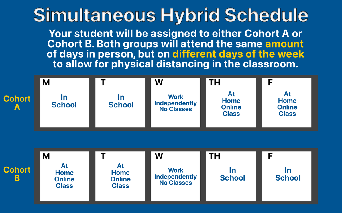 simultaneous hybrid learning sample
