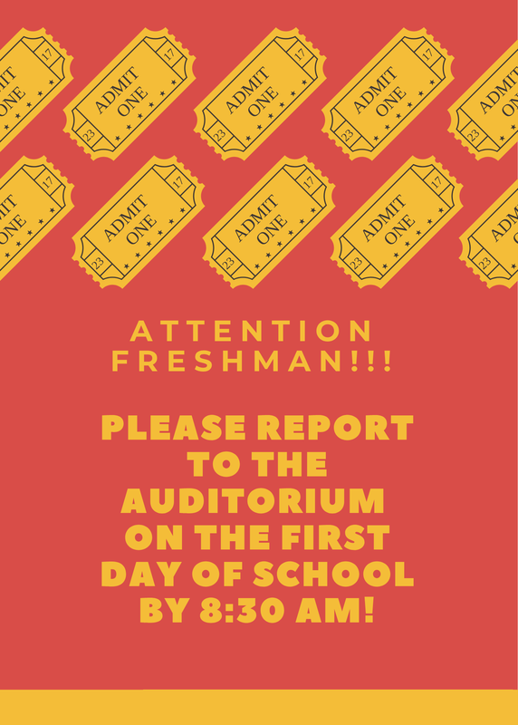 Freshman flyer
