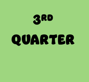 3RD QUARTER