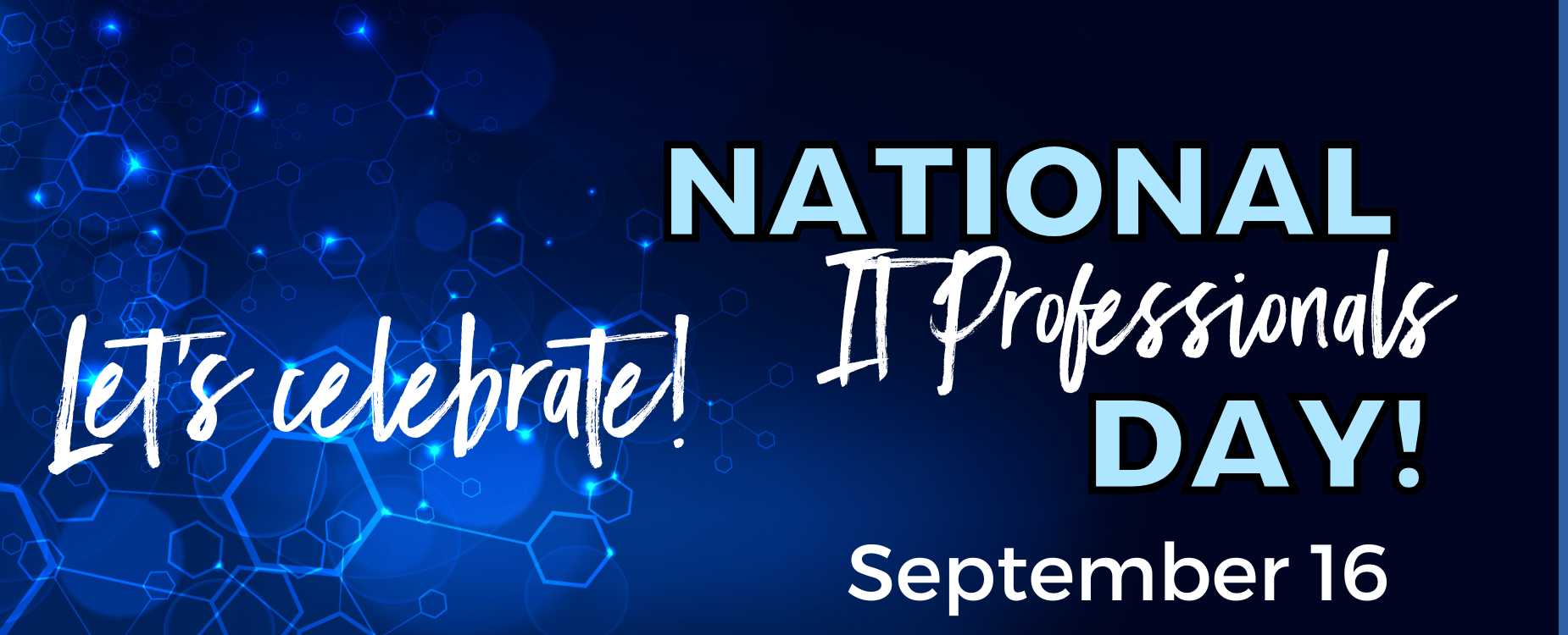 it professional day