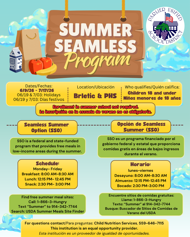 Summer Seamless Program Flyer
