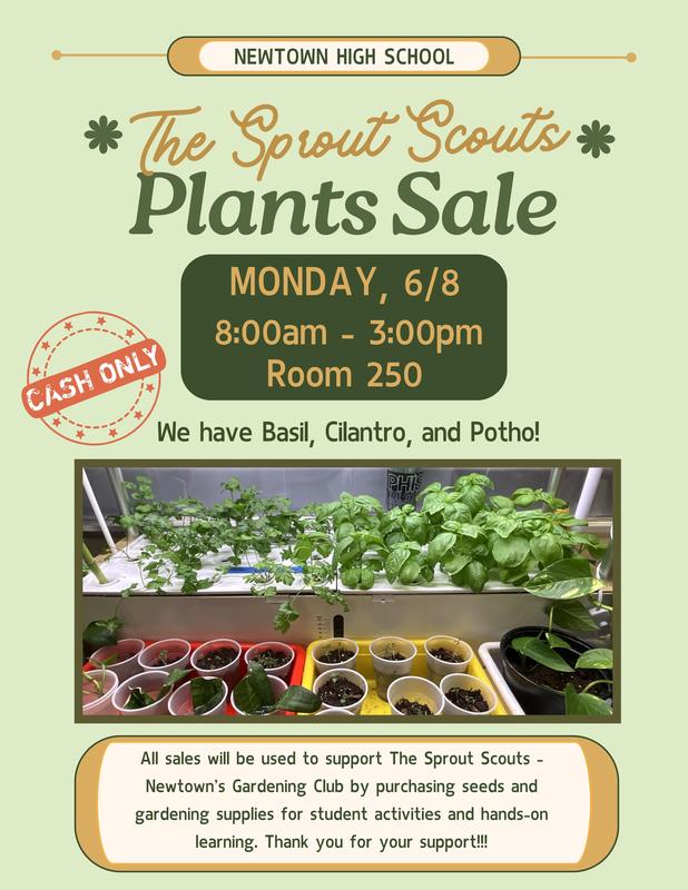 Flyer for Newtown High School’s Sprout Scouts plant sale on Monday, June 8 from 8:00 AM to 3:00 PM in Room 250, featuring student-grown basil, cilantro, rosemary, and pothos, with a “cash only” note and an image of plants growing under indoor lights.