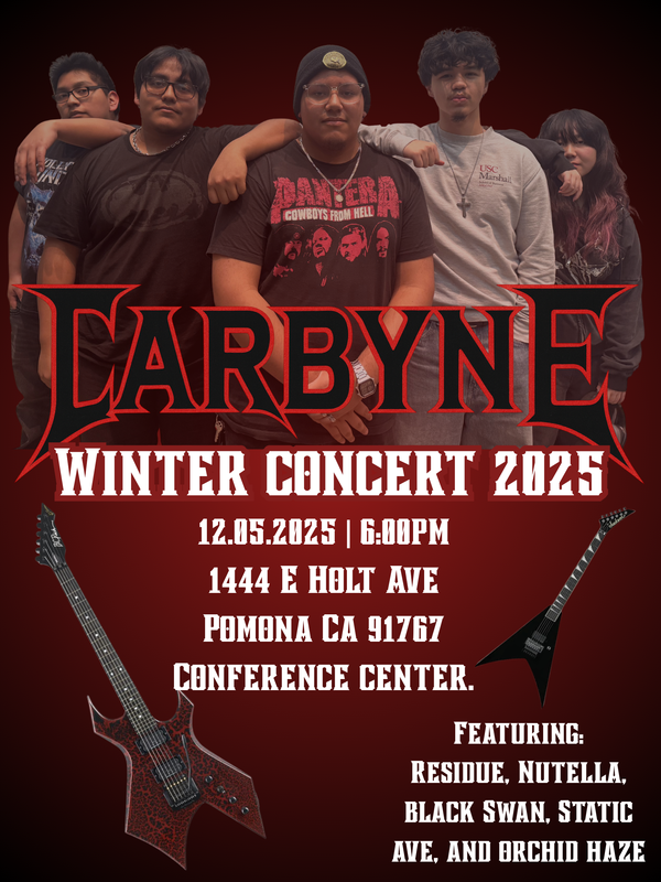 Rock and Roll Concert