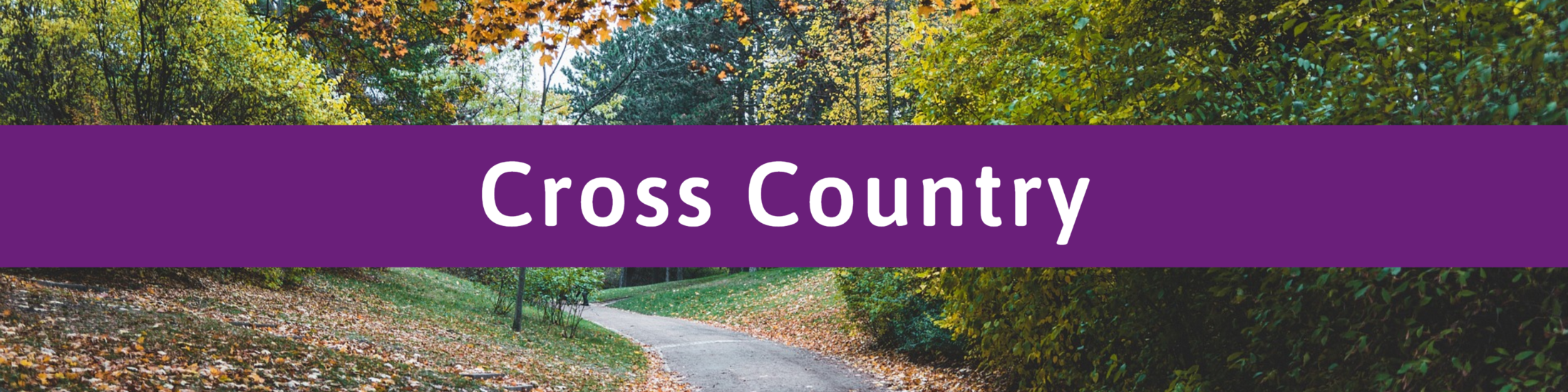 Cross Country Cross Country Park High School