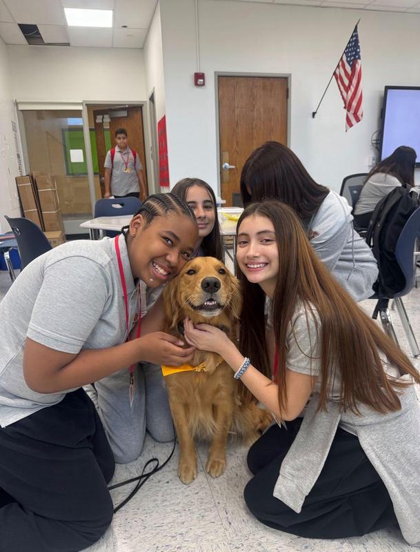 golden retriever and students