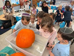 pumpkin