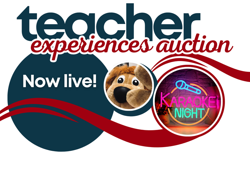 Teacher experiences auction is now live