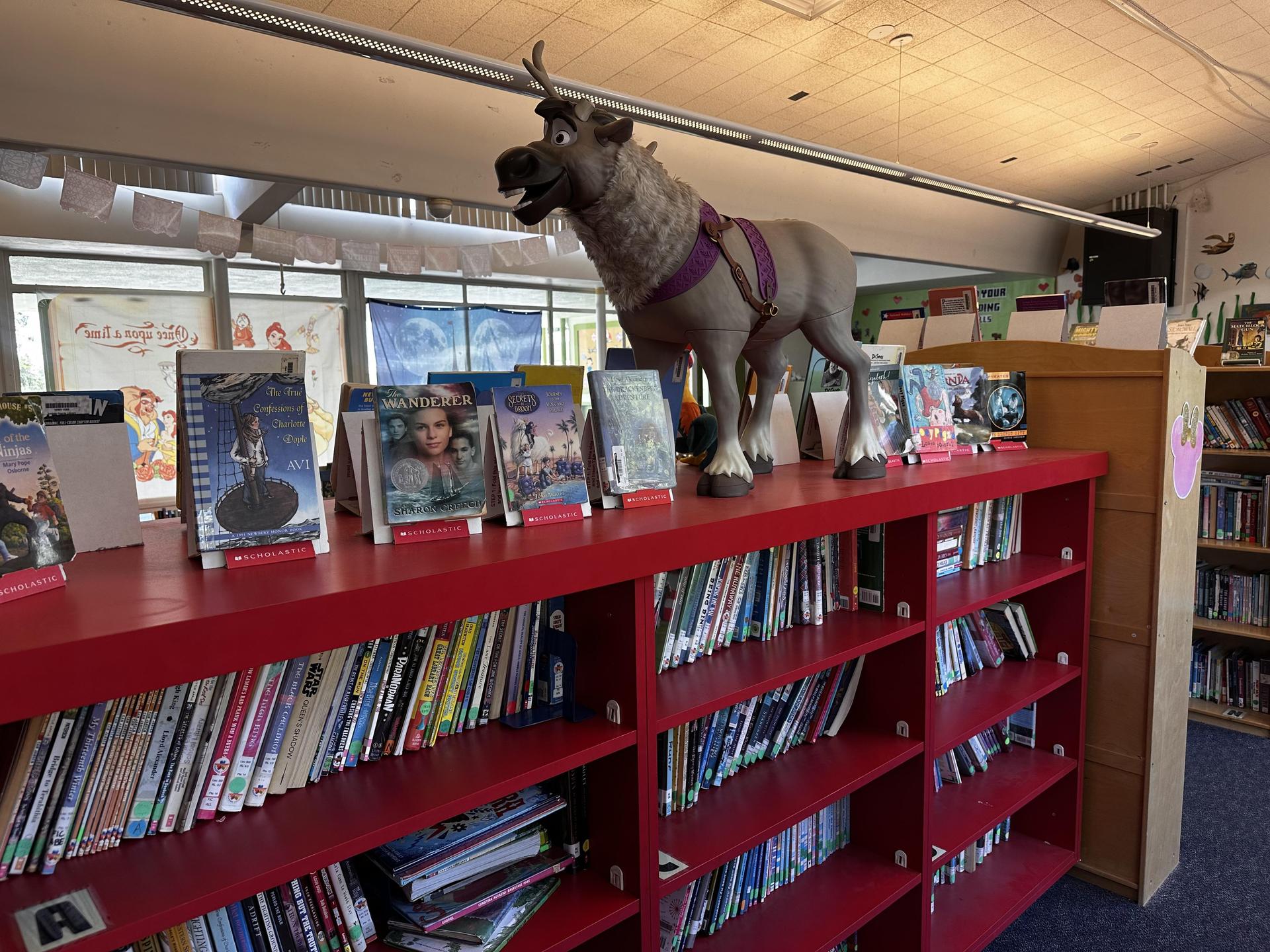 library - Book shelves