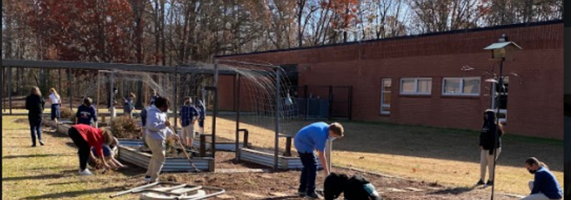 FFA Gardens